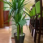 Hotell Parkhotel 3*