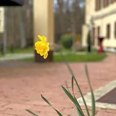 Parkhotel Szálloda 3*