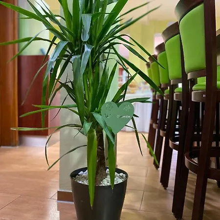 Hotel Parkhotel 3*