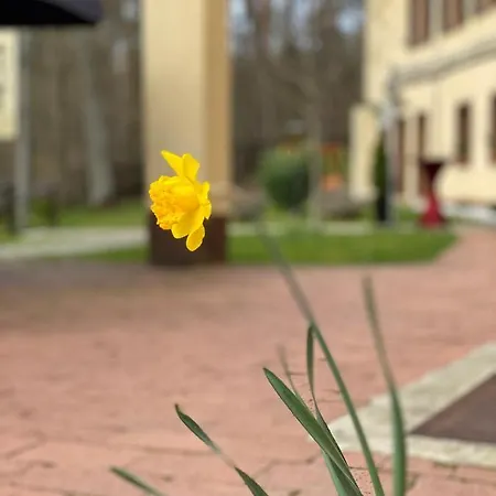 Parkhotel 3* Zirndorf