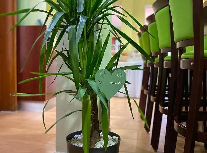 Hotel Parkhotel 3*